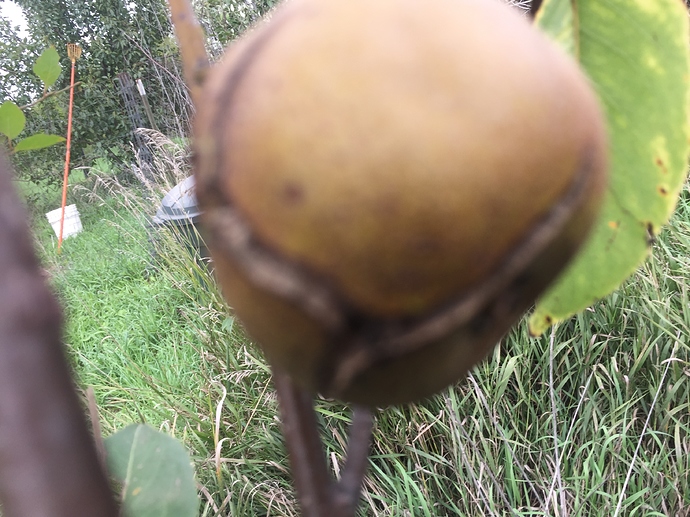 4910A174-7688-41EA-8CCD-010488854E58