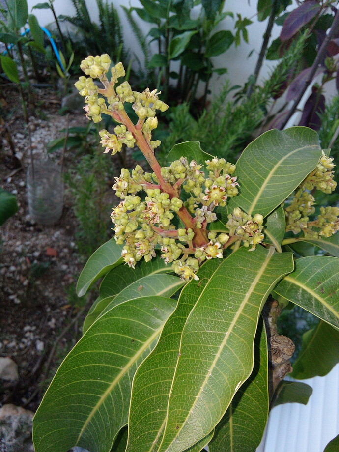 IMG_20220528_195902