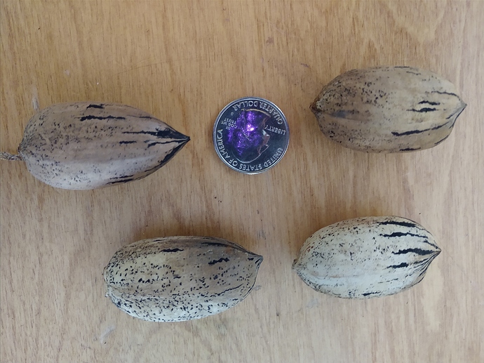 IMG_20181021_105836767