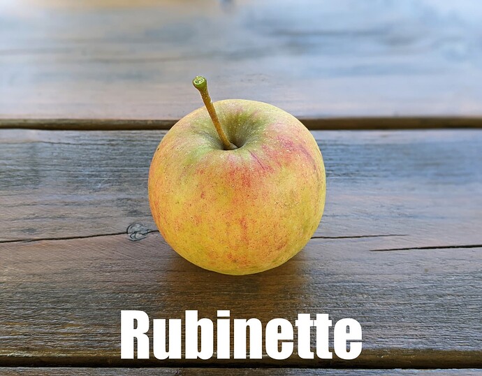 Rubinette_2024