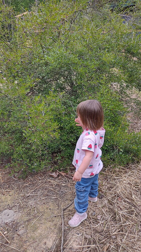 IMG_20250525_175305165_HDR