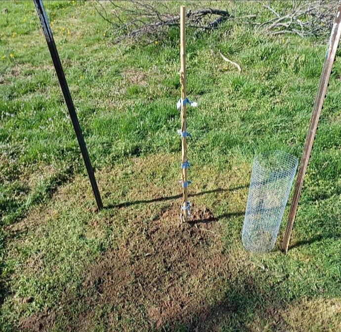 Screenshot_20250408_162727_Gallery