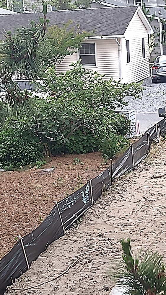 IMG_20210619_181209139