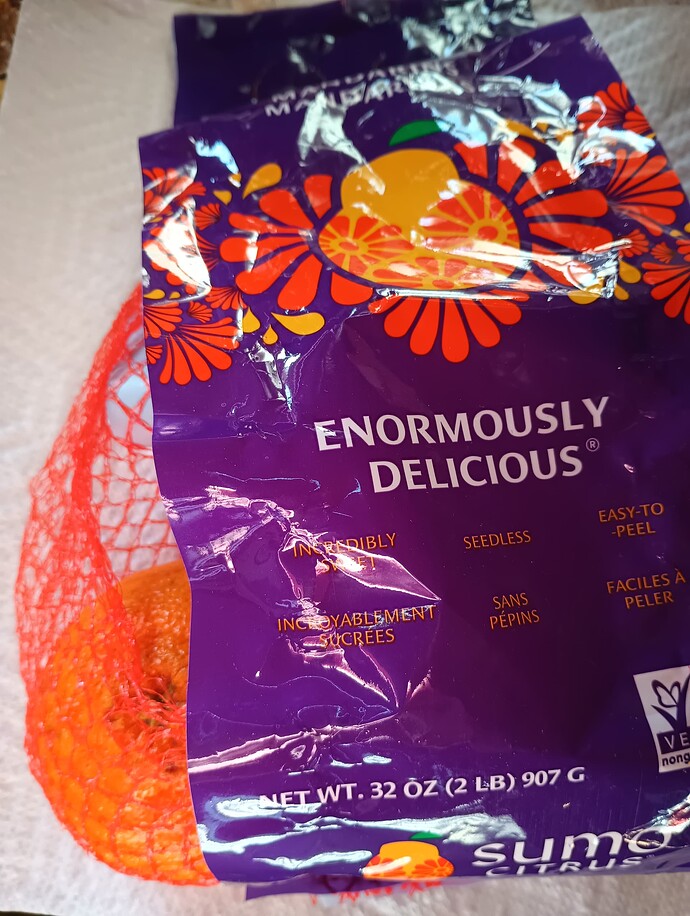 IMG_20250126_135155251