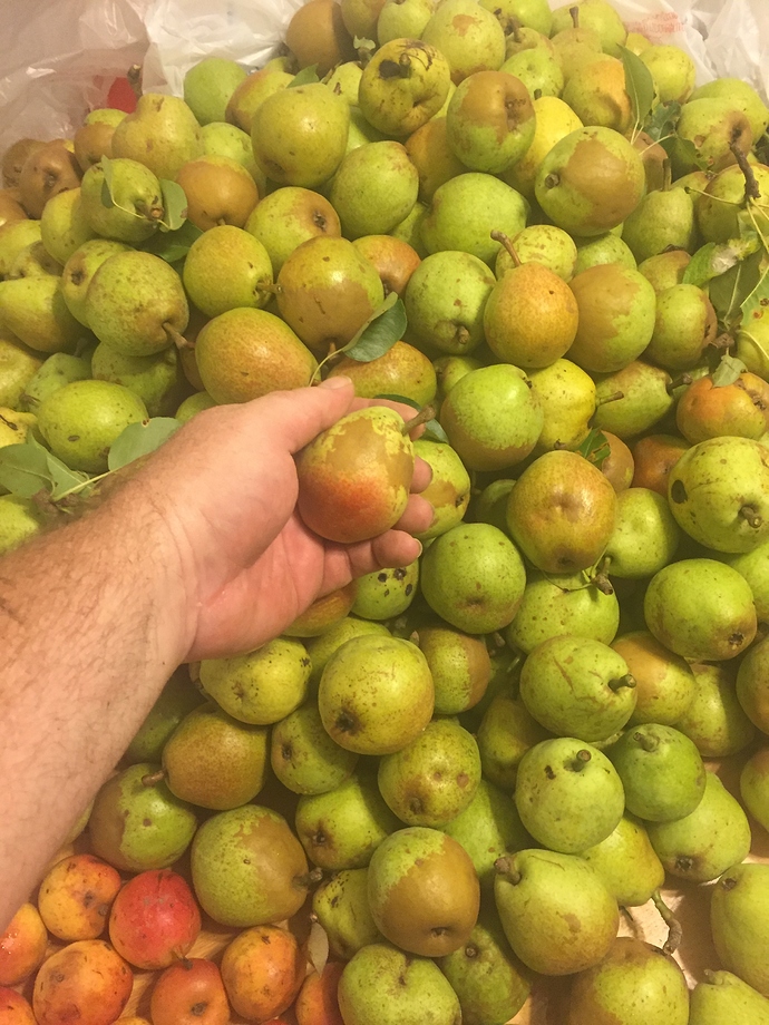 BE32EFF6-6C80-4801-BF03-3FC3A00F8208