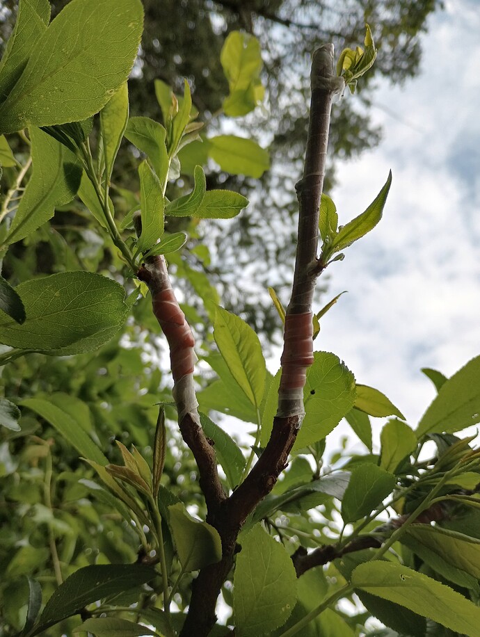 IMG_20230523_174038362_HDR