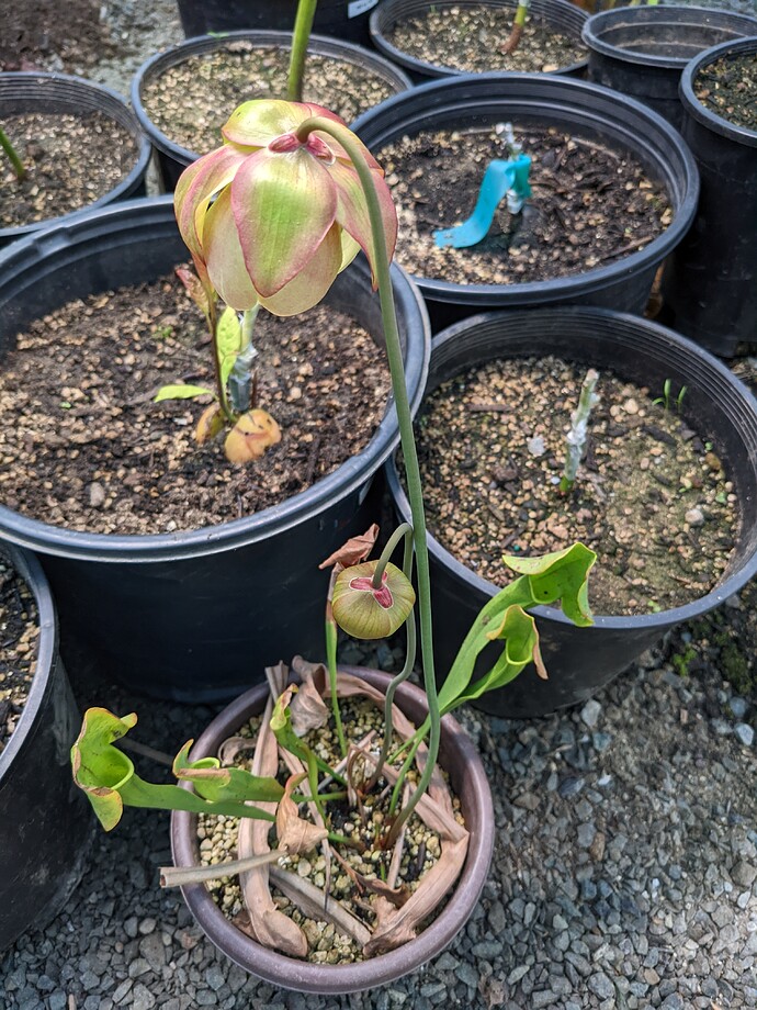 PXL_20220330_144855917