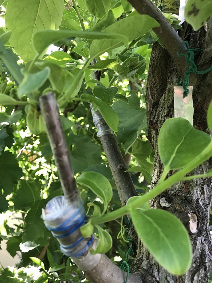 A08EFE2C-3E55-4BF0-B292-046E1118F49C