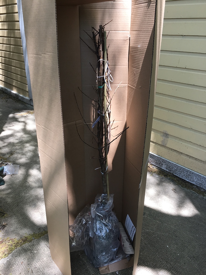 EA45780D-CE59-40EE-8D7B-95A28EF8C9D0