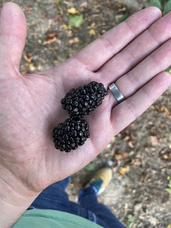 Black Gem