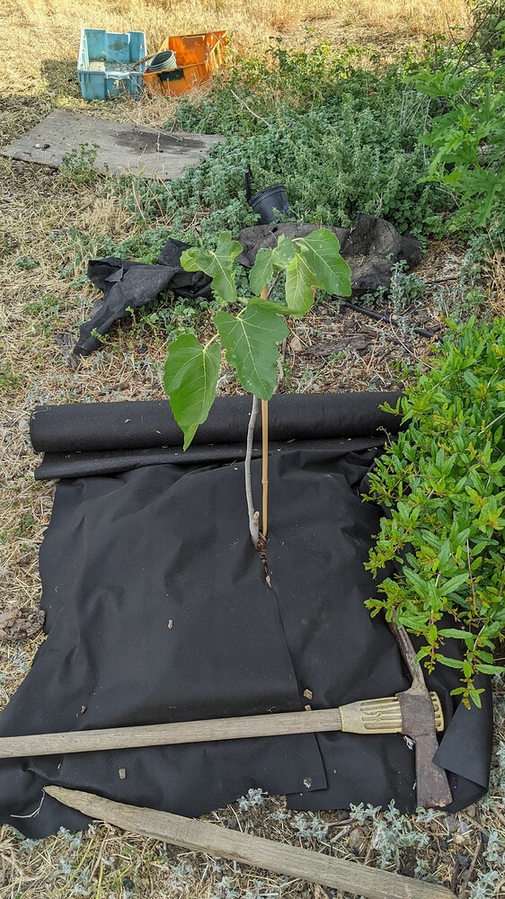 PXL_20230605_151612092