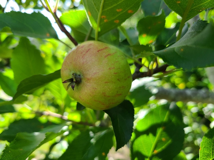 20200623_162525_copy_1209x906