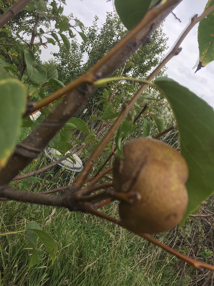 18591045-5650-48B1-ABE4-6677B912F39C