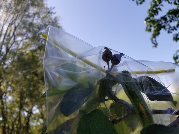20190526_102912