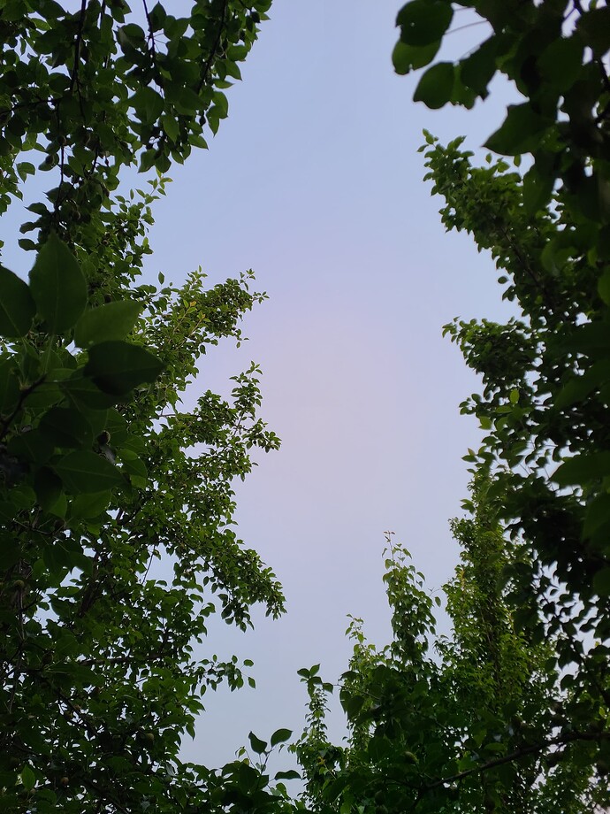 20250531_070828