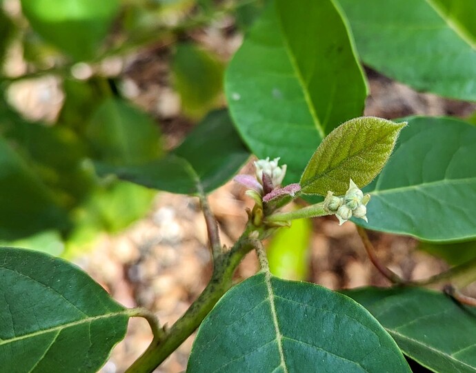 PXL_20240324_191041494~2