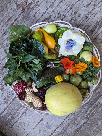 PXL_20241007_205012113