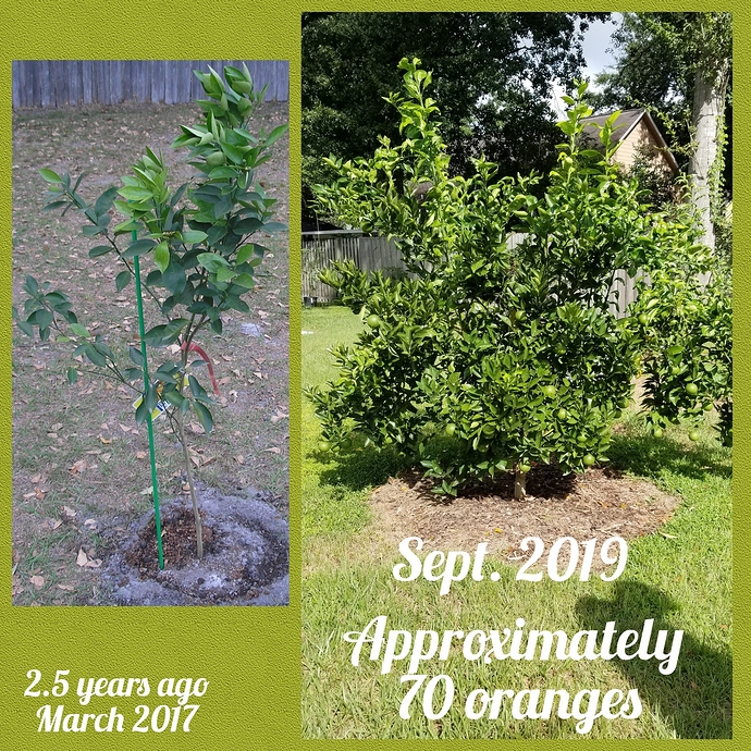 Resized_CollageMaker_20190903_103033031