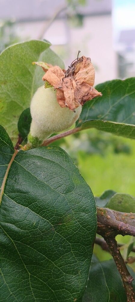 IMG_20250528_105509993