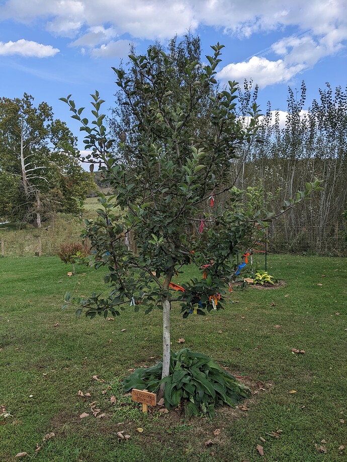 PXL_20221007_195759218.MP