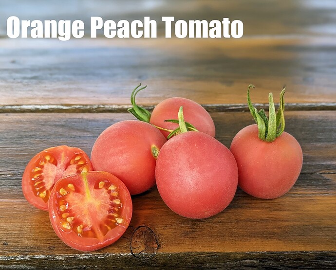 Orange Peach Tomato