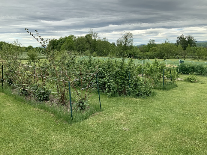 62FBF645-1848-402B-A923-0DF91FA2D8EB