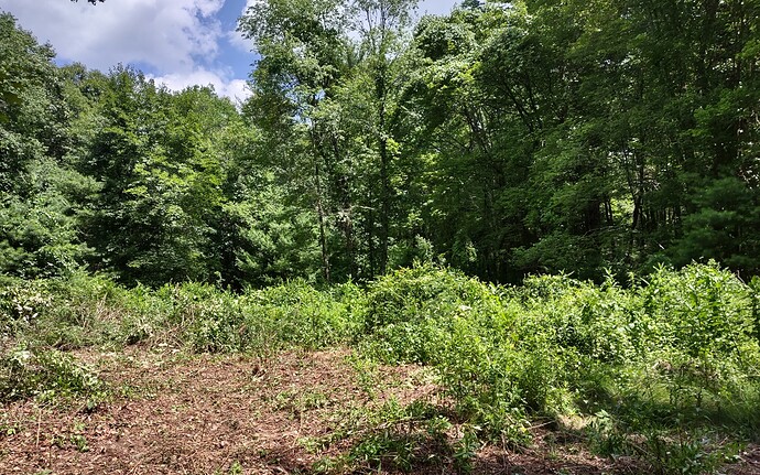 IMG_20230723_120620799_HDR