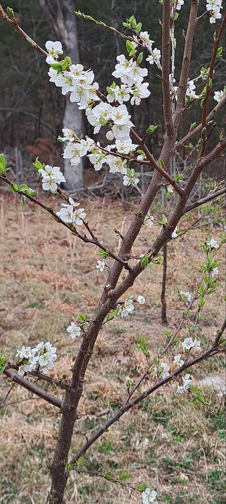 Screenshot_20240704_085617_Gallery