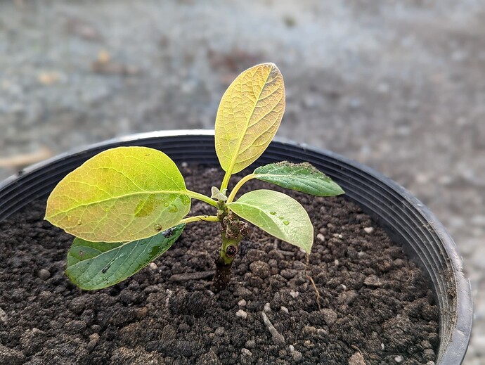 PXL_20221108_213732181.PORTRAIT