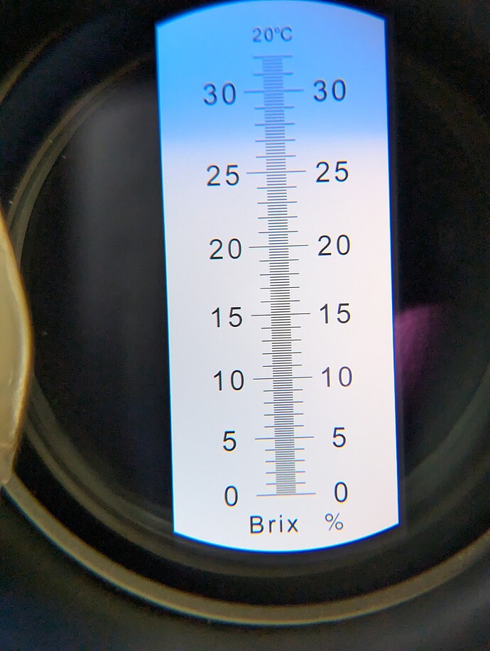 PXL_20241018_072912185