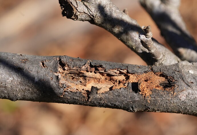 Screenshot 2025-01-16 at 3.48.26 PM