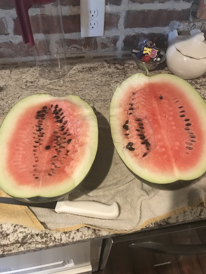 Watermelon Threading Watermelon growing and Melon growing thread of 2018 - Page 3 - General ...