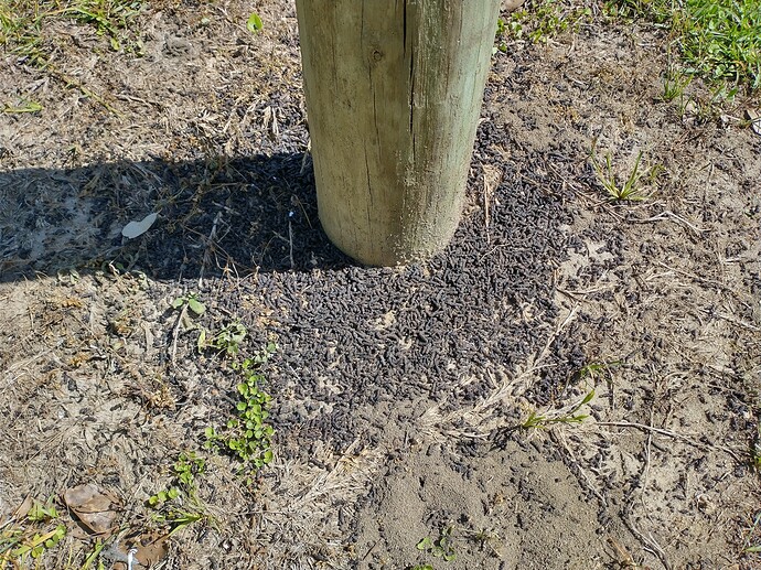 IMG_20220427_112422354_HDR