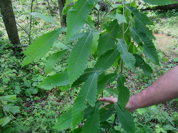 140522-A-CE999-146~2