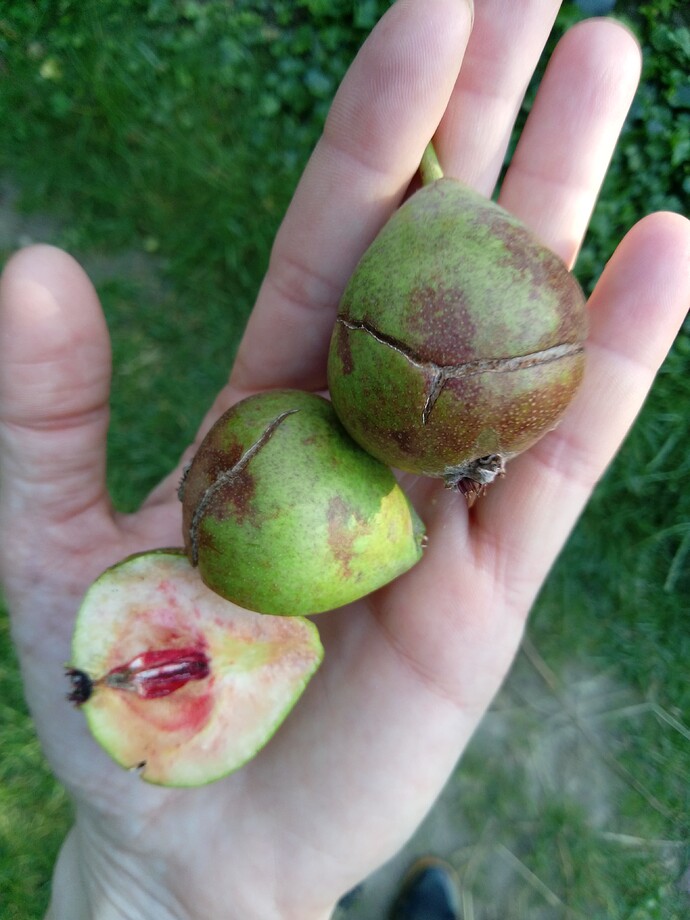 IMG_20240615_192942_696