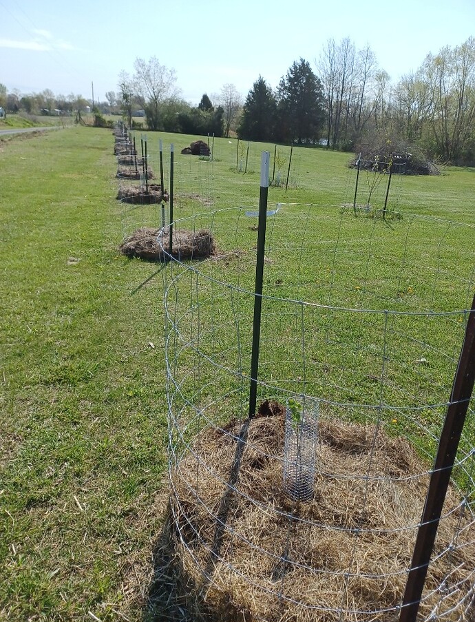 Screenshot_20240407_104120_Gallery