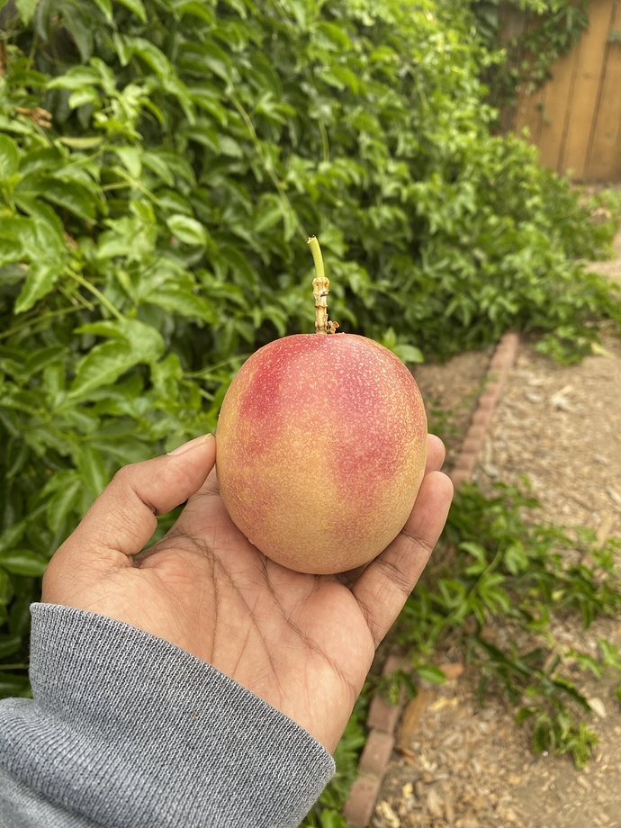 AB941665-834B-43C5-AD72-353891DDB625