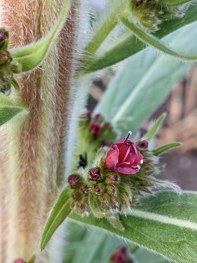 PXL_20220406_012046019