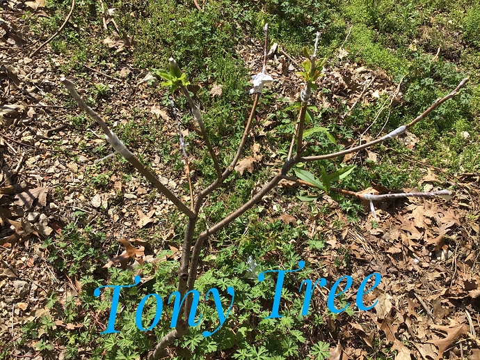 B994F00B-567A-4818-9A8D-C88158ECE62B