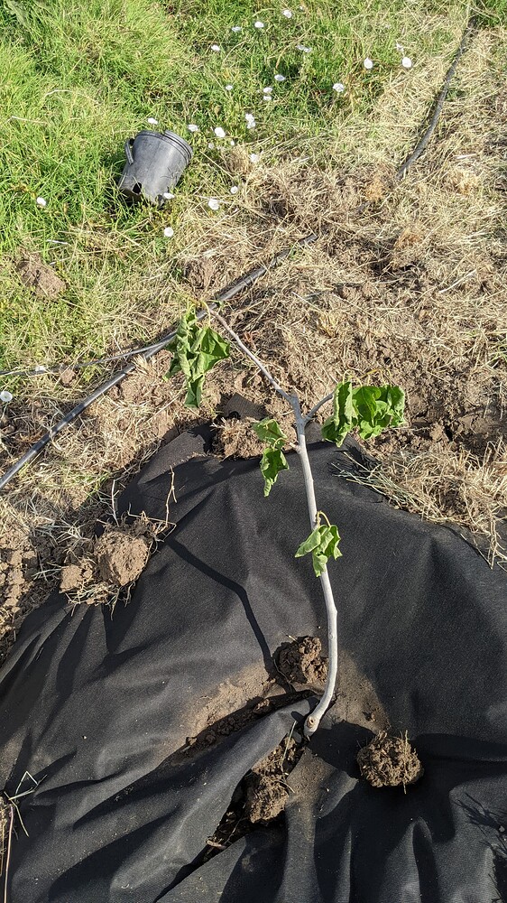 PXL_20230605_151718957