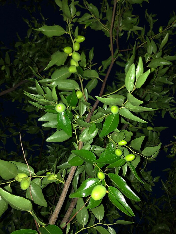 September_Late_08-11-2011