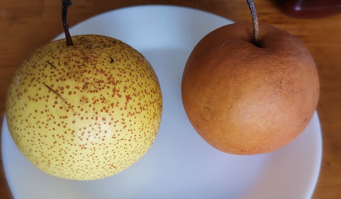 IMG_20220109_102601_edit_46729482812658