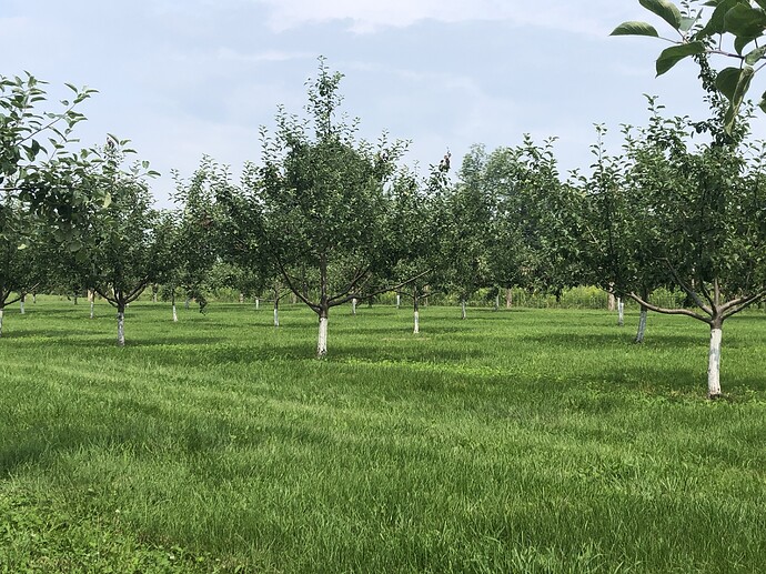 BD6D4EB5-EE22-49DA-B520-3BC5344517D8