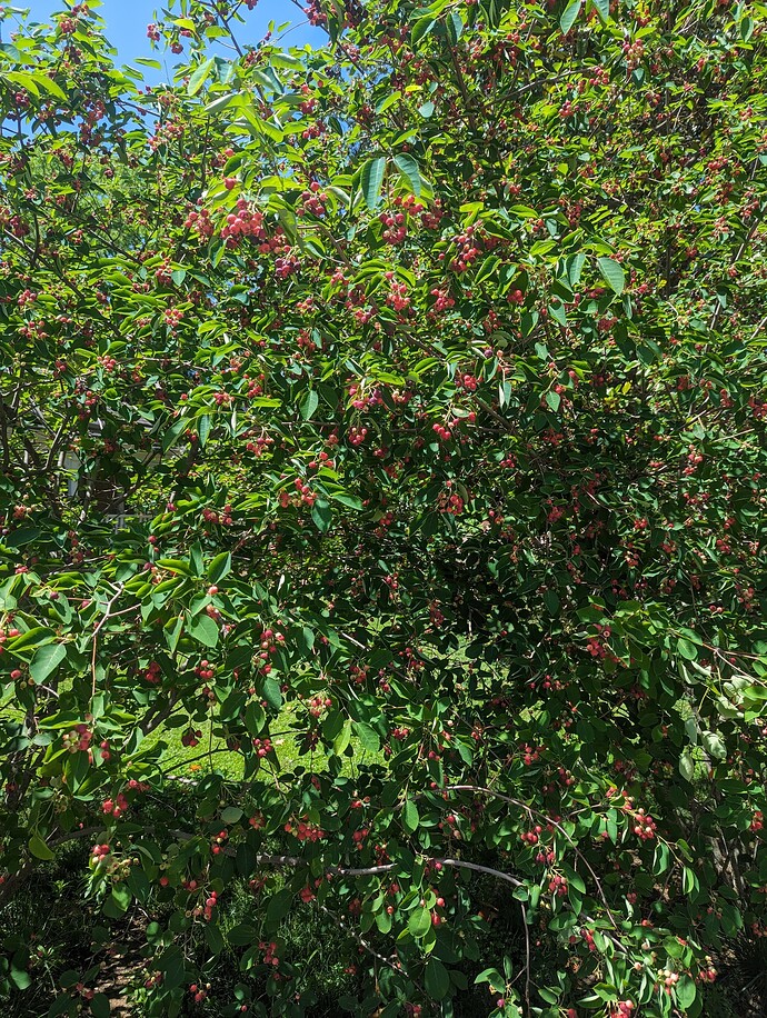 PXL_20240509_183224097