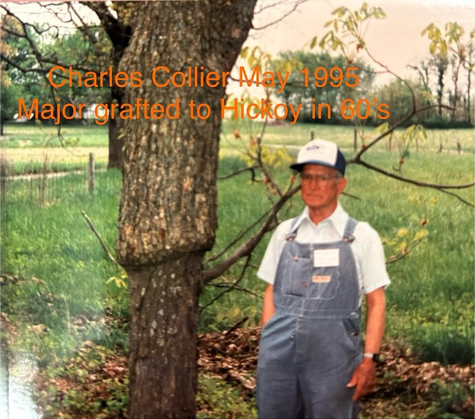 Mr Collier 'Major' on Pignut (1)