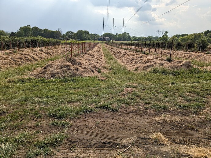 PXL_20230530_230249287