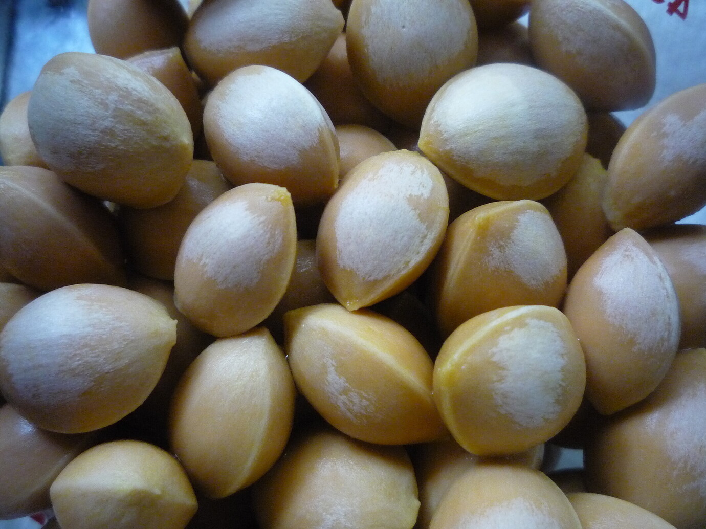 Gingko Nuts General Fruit Growing Growing Fruit