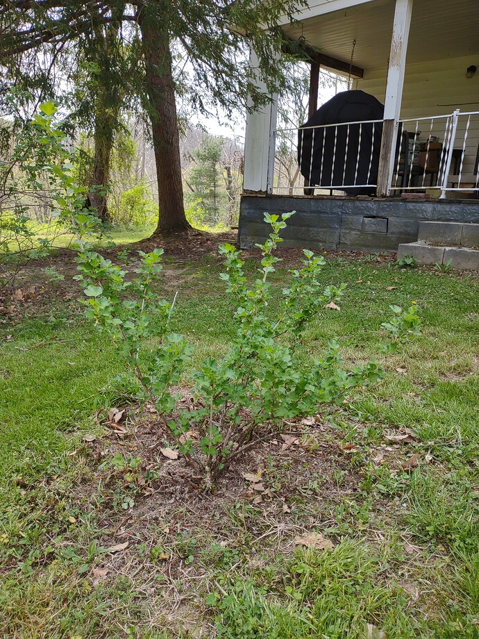 IMG_20250420_124555408