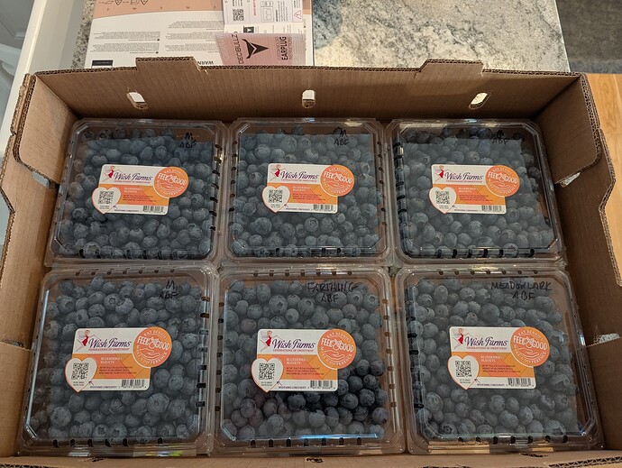 PXL_20250425_232813492