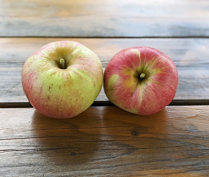 Apple 2024